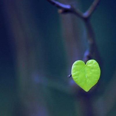 gellsen_bi's profile picture. ☕👩‍💻saü/if ᥫ᭡

..ama öylece durup, sonsuza dek yaralarımıza bakamayiz