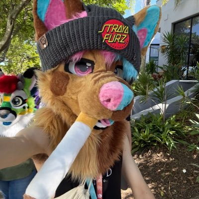 23/SFW/Male/Gaymer/BettaThanU@COD/Taken/LikesSonicStuff/Hip-Hop Twitter Addict/Fursuit by @Astris_Fursuits 🩵🩷