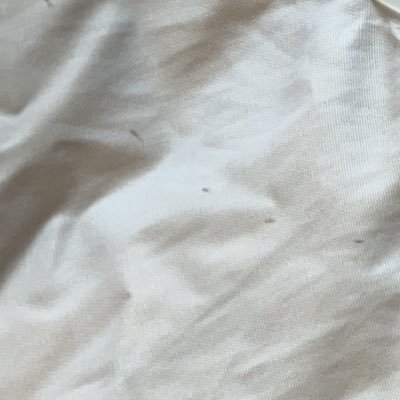 りなさんのプロフィール画像