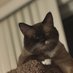 Rflats774_2 (@rflats774_2) Twitter profile photo Rflats774_2 (@rflats774_2) Twitter profile photo