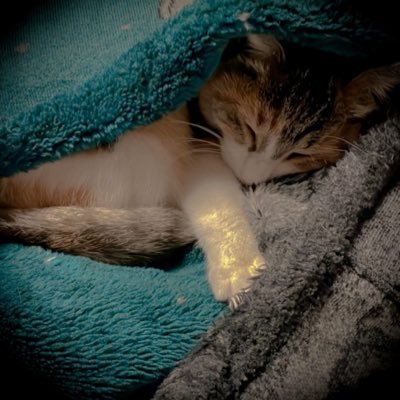 對間さんのプロフィール画像