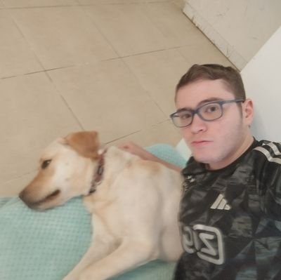 noam_harow's profile picture. 