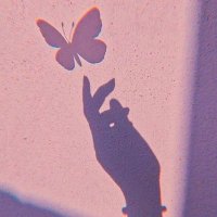 ✨bluemoon✨♒ (@bluemooon1723) 's Twitter Profile