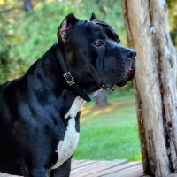 TexanUSAProud (@texanusaproud) 's Twitter Profile