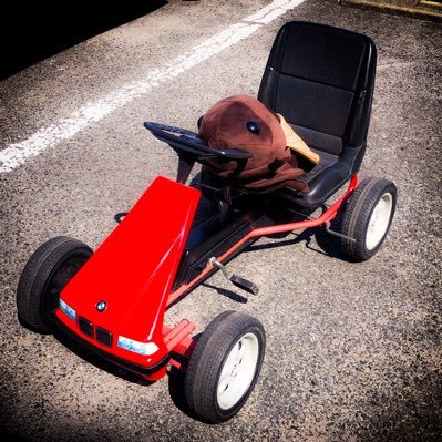 ALskuronana's profile picture. あなたの36をヘルシーにするアブラゼミ