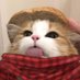 ren (@featureswifts) Twitter profile photo ren (@featureswifts) Twitter profile photo