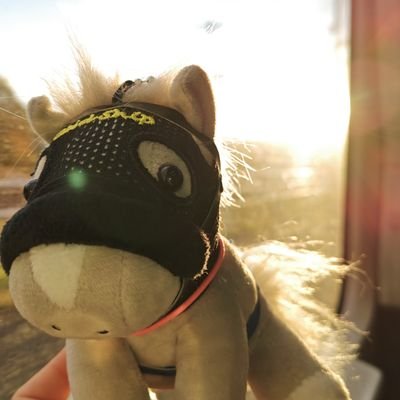 ank_oro0607's profile picture. 🐴ステゴ一族(とくにゴールドシップ)と馬券的中した馬が好き
🐴あとハーツクライとその産駒も好き

🐴最近アイドルホース手芸部に入部した