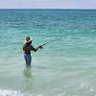 ProfitGained's profile picture. Gone Fishing | Charts are for my own records | Sports Bettor | TRY https://t.co/yd4ZGgtvo1 FREE in beta testing.