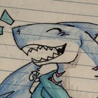 Fin (@finthesharkguy) 's Twitter Profile