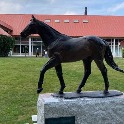 ikkou_ha's profile picture. 競馬用 一口馬主(東サラ、京サラ、ロード、広尾) 無言フォロー失礼します