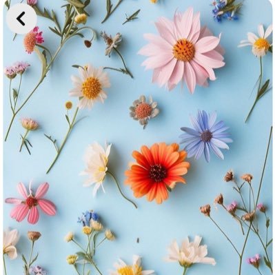 517pikarulove's profile picture. SnowMan 岩本担 💛💜🤍💙🧡💚🖤❤️🩷🍫💪⛰️🧋🧖🏃‍♀️🌵🕶️👜💍👑🏊🏻‍♂️🚒⛩️☃️