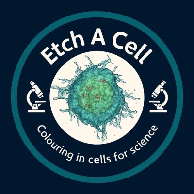 Electron Microscopy Citizen Science project in the Zooniverse for the Francis Crick Institute