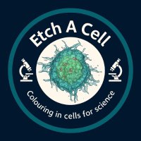 Etch a cell (@etchacell) 's Twitter Profile Photo