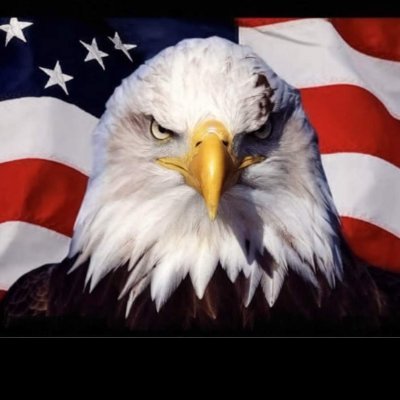 Oldskool_62's profile picture. Retired trucker, Muscle car collector, Patrotic American