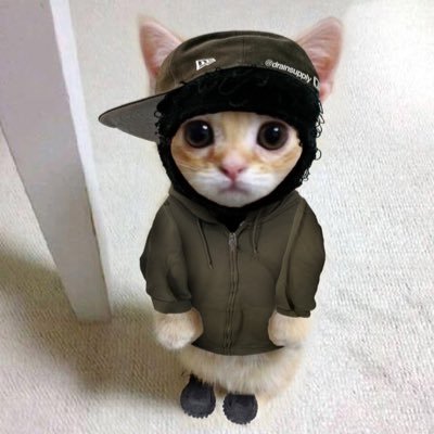 ceojamiet's profile picture. https://t.co/epAn0Uz95E https://t.co/RfGqcQXtjZ