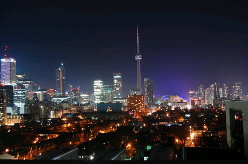 callalejandro's profile picture. 