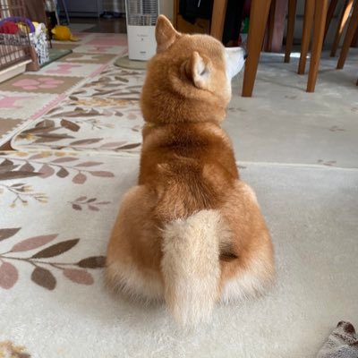 ˚✧₊⁎❝᷀ົཽチャーム❝᷀ົཽ⁎⁺˳✧༚さんのプロフィール画像