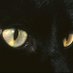 ู (@pajeowi) Twitter profile photo ู (@pajeowi) Twitter profile photo