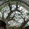 ArquitecSost's profile picture. Arquitectura y medio ambiente