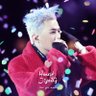 honeyjiyong's profile picture. G-DRAGON FANSITE ACCOUNT | 앞으로 너의 미래에 꽃길만이 펼쳐지길