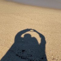 아지&냥이 (@minso10031) 's Twitter Profile
