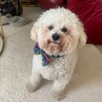 Pam Clark (@pam33715) 's Twitter Profile