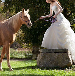 ClassyCntryChic's profile picture. keepin' it classy- country style.. business major, military family, republican, tree hugger, fashionista, vegetarian, animal lover, country girl at heart ❤