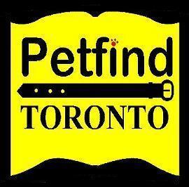 PetfindToronto Profile Picture