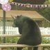 Mr. Penguin (@mrpenguin73) Twitter profile photo Mr. Penguin (@mrpenguin73) Twitter profile photo