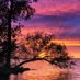 Nature (@nature571063802) Twitter profile photo Nature (@nature571063802) Twitter profile photo