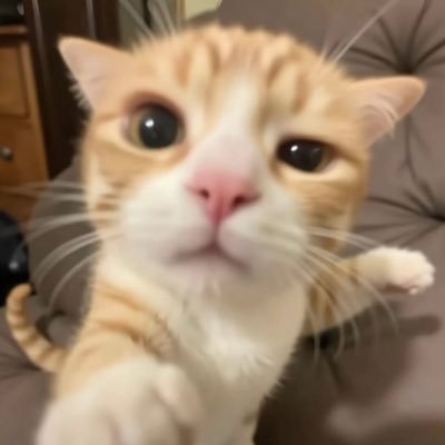 mwyeooon's profile picture. 