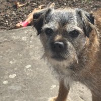 Eddie 🐾❤️☺️🏴 🦄 🏳️🌈 (@eddieanb) 's Twitter Profile