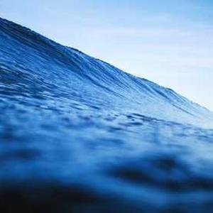 ReilandRod28171's profile picture. 