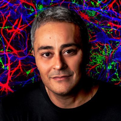 Biologia, Educação e outras coisinhas a mais...