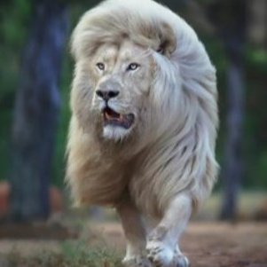 grbEeml's profile picture. Mental gymnastics demystified. 
Yet it continues...🤦
Please have a nice day.🩸✝♥️👪
             👇.Time to play catch up.👇