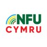 NFUCymru's profile picture. Working to secure a better future for Welsh farmers and the wider rural community. Wrth galon ffermio Cymru. #WeAreWelshFarming #NiYwFfermioCymru