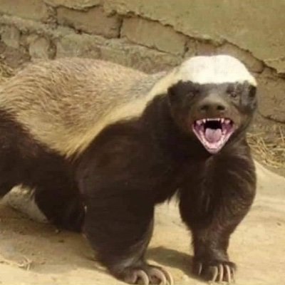 unitmnsky's profile picture. Critical thinker.
Free speech defender.
Common sense enthusiast.