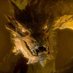 El Escudo de Thorin (@cine_thorin) Twitter profile photo El Escudo de Thorin (@cine_thorin) Twitter profile photo