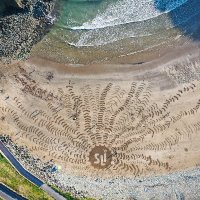 Waterford Sustainable Living Initiative (SLi) (@waterfordsli) 's Twitter Profile Photo Waterford Sustainable Living Initiative (SLi) (@waterfordsli) 's Twitter Profile Photo