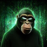 William Martinez | $GIV (@0xwmb) 's Twitter Profile Photo William Martinez | $GIV (@0xwmb) 's Twitter Profile Photo