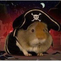 Sylvio 🏴☠️🎣 (@sylvio0001) 's Twitter Profile Photo Sylvio 🏴☠️🎣 (@sylvio0001) 's Twitter Profile Photo