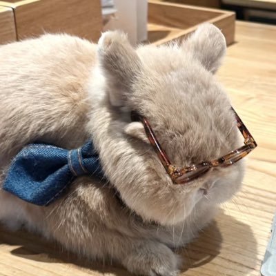 lwqrachel's profile picture. 