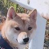 1_ma0m's profile picture. aikoは神。生きる糧。僕ヤバ好きです。 ベイスターズファン。桑原推し。よろしくお願いします