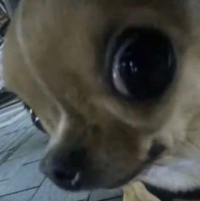 Wartolini's profile picture. 