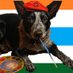 PoopNiggaHitler69studios2.ThereWilBeGroypage🇮🇳👹 (@bibocalypsenow) Twitter profile photo PoopNiggaHitler69studios2.ThereWilBeGroypage🇮🇳👹 (@bibocalypsenow) Twitter profile photo