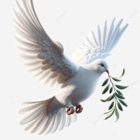 Casablanca 61 (@61_casablanca) Twitter profile photo