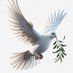 Casablanca 61 (@61_casablanca) Twitter profile photo Casablanca 61 (@61_casablanca) Twitter profile photo