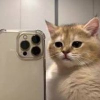 under dog (@under___dog___) 's Twitter Profile