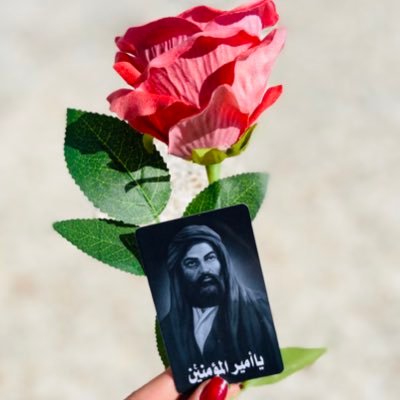 znss77's profile picture. 2002/7/14