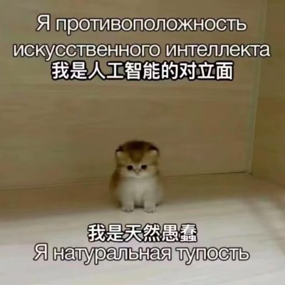 Everyday4Sleep's profile picture. 生命不泯于泛泛，我在绿意里重生🍑🍑🍑有一点属性的情侣日常🍪🍪🍪杂食人不成熟的日记/碎碎念，记录成长👆👆👆只谈情趣心理不谈政治时事🌹🌹🌹私信已关，各位来的做个看客，不必关注。